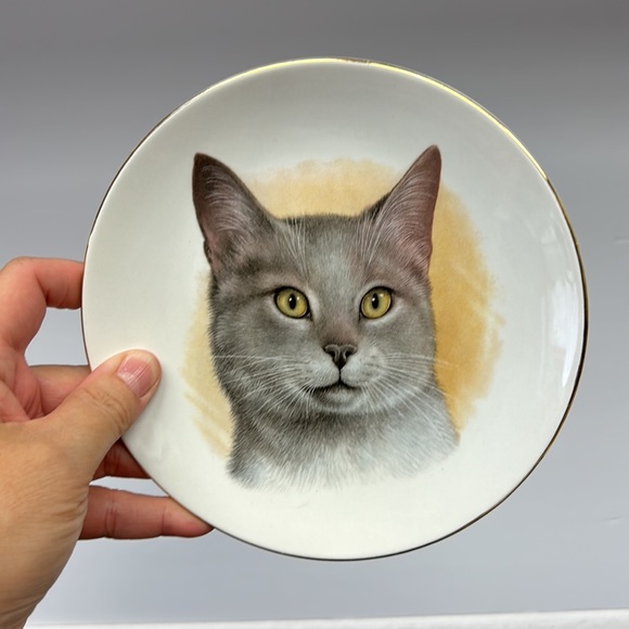 Vintage Ironstone decorative cat plate made in England - Picture 2 of 5